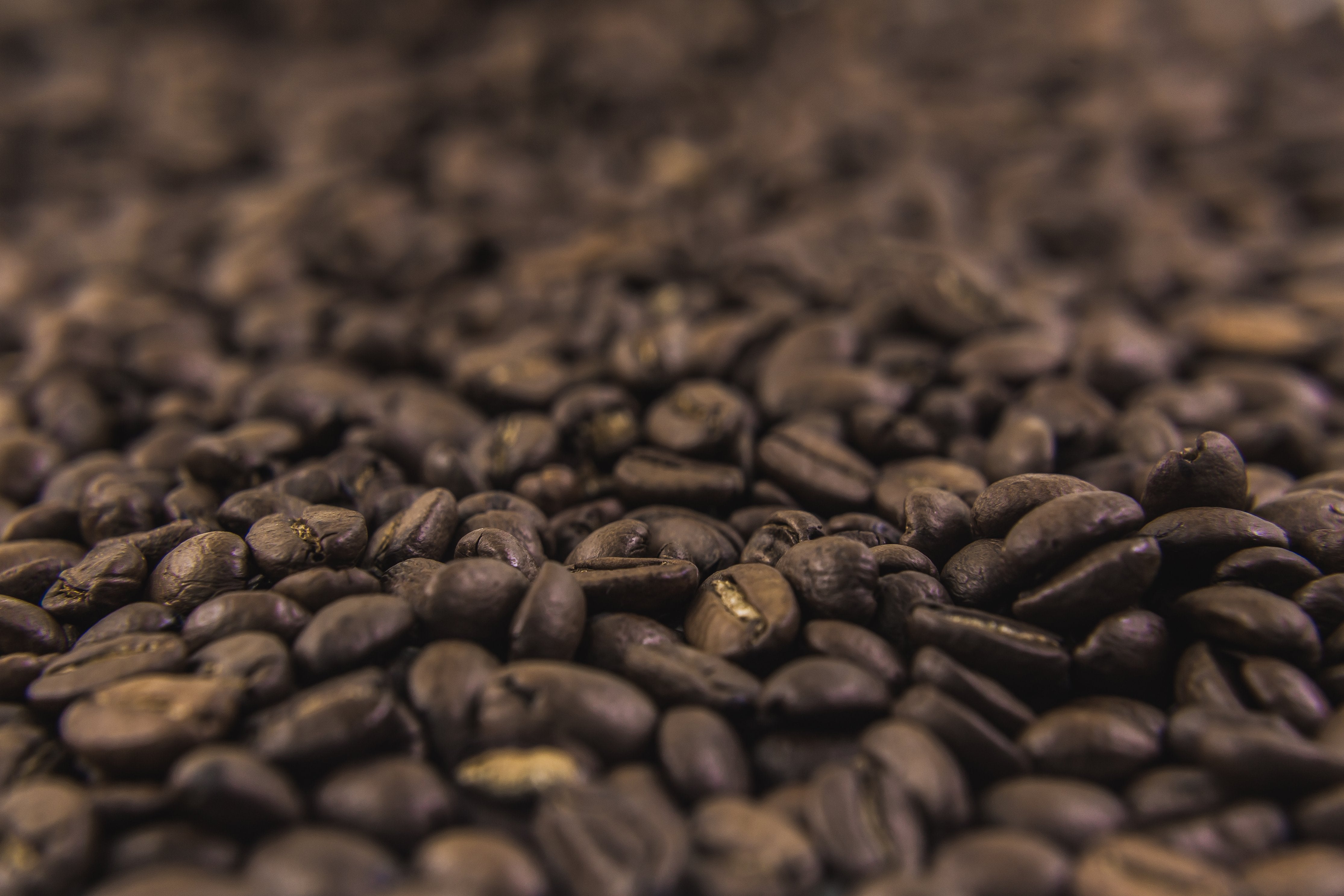 Arabica koffiebonen - Robusta koffieonen - Decaf koffiebonen - de lekkerste koffiebonen - Proef Koffiebonen
