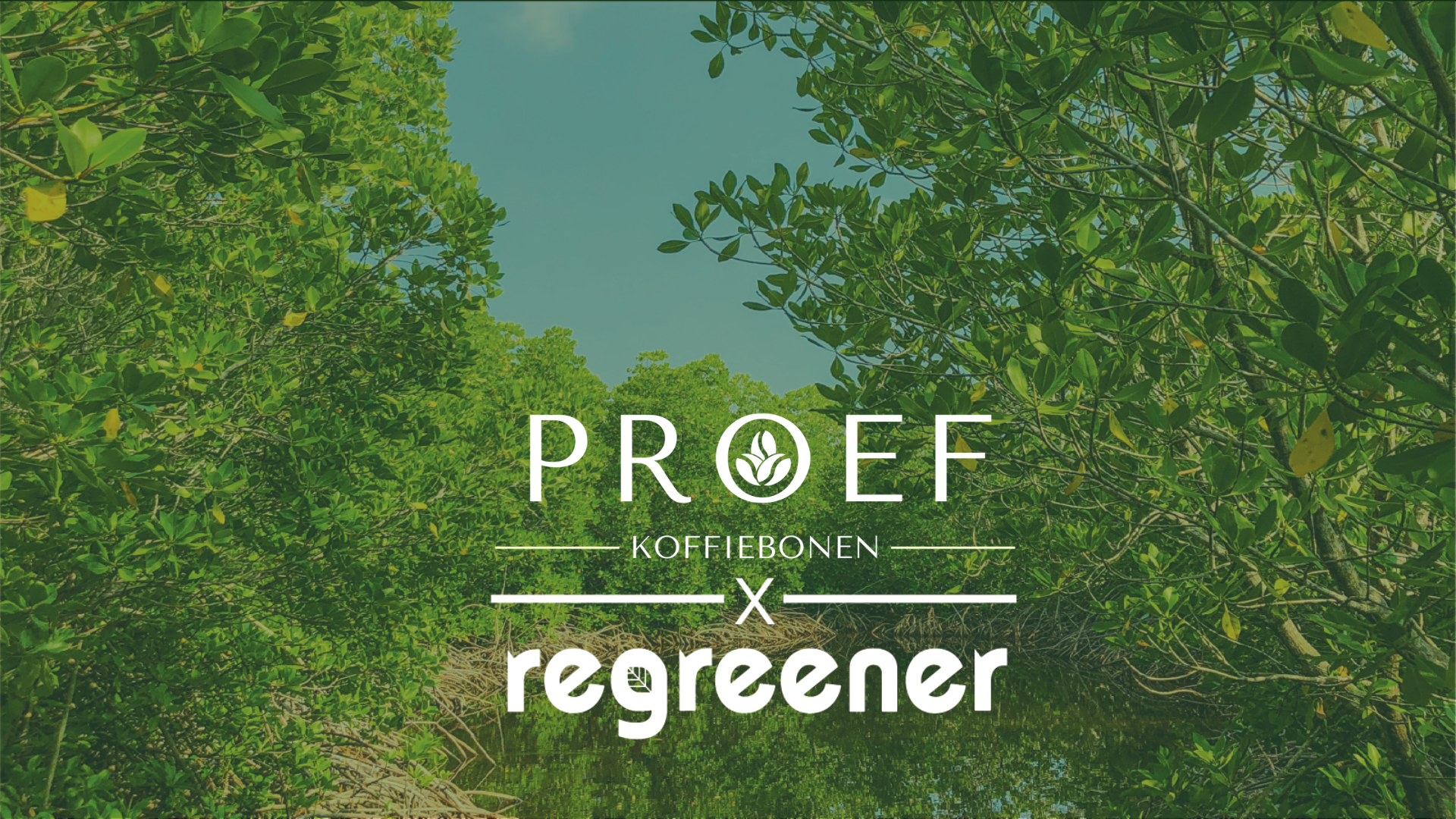 Proef Koffiebonen x Regreener Partnership Announcement